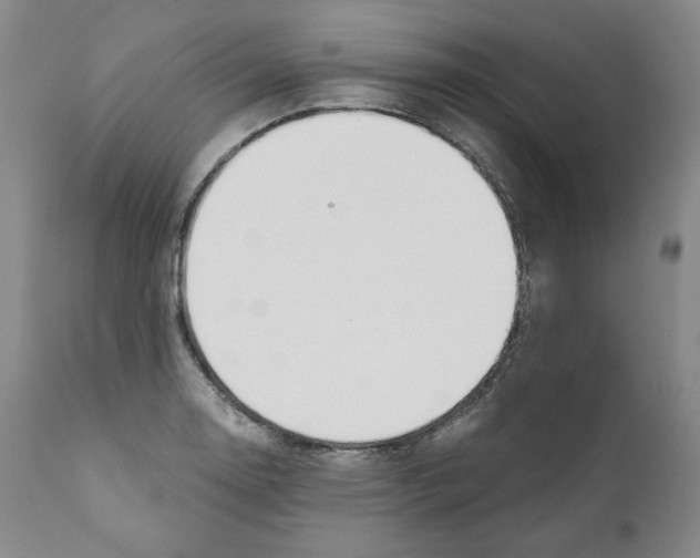 X0000111031130200907231614