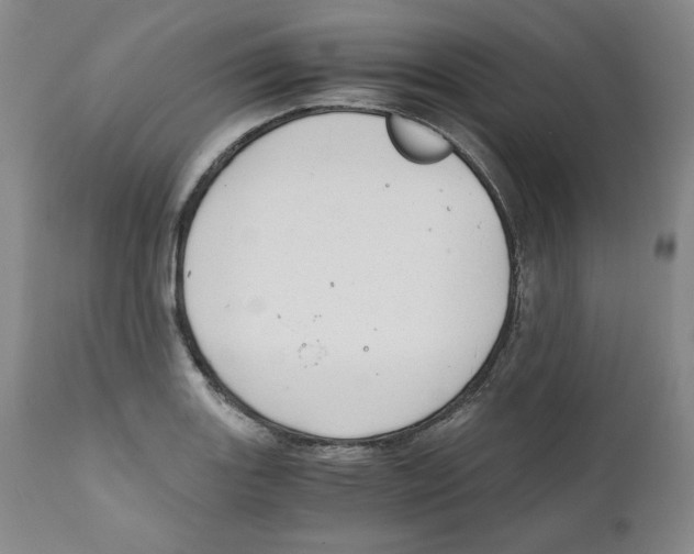 X0000111031131200907231614