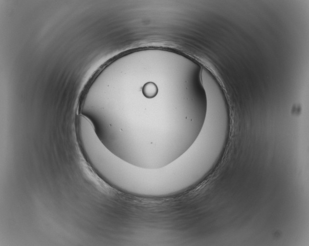 X0000111031132200907231614