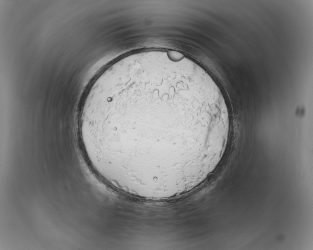 X0000111031133200907231614