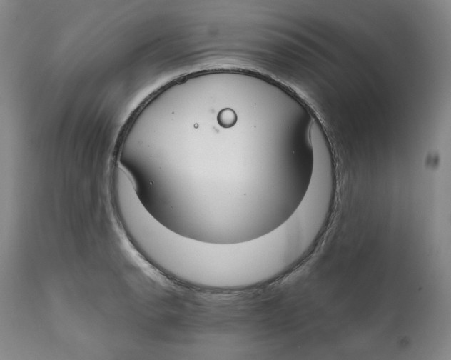 X0000111031134200907231614