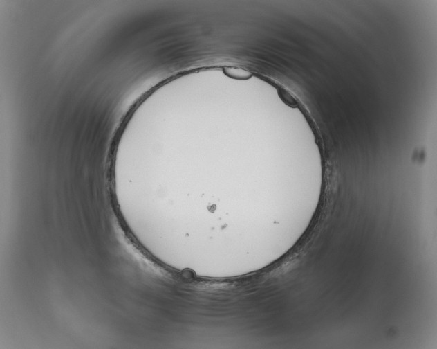 X0000111031135200907231614