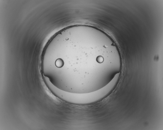 X0000111031136200907231614