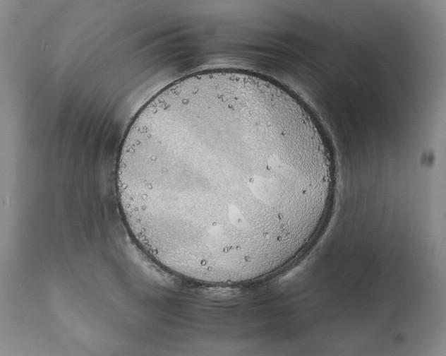 X0000111031137200907231614