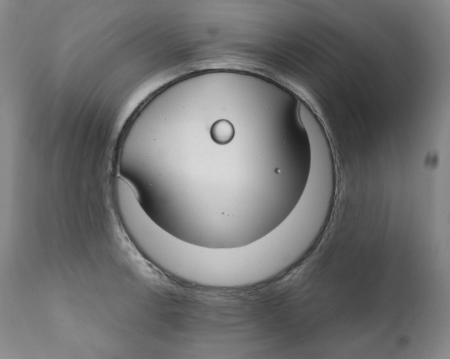 X0000111031138200907231614