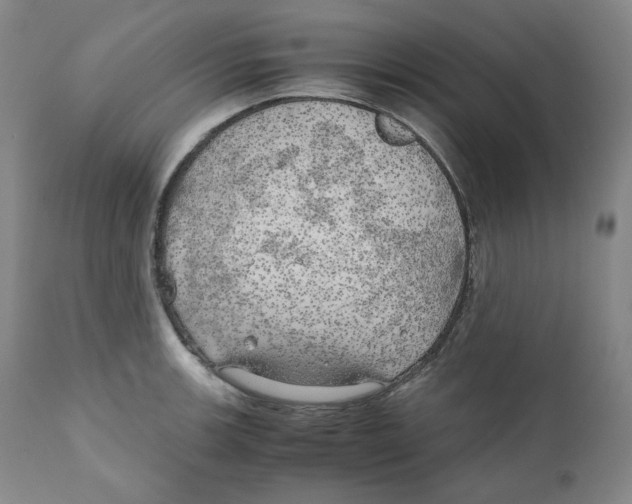 X0000111031139200907231614