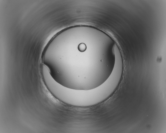 X0000111031140200907231614