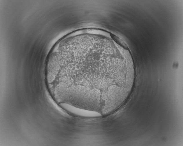 X0000111031142200907231614