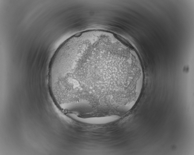 X0000111031143200907231614