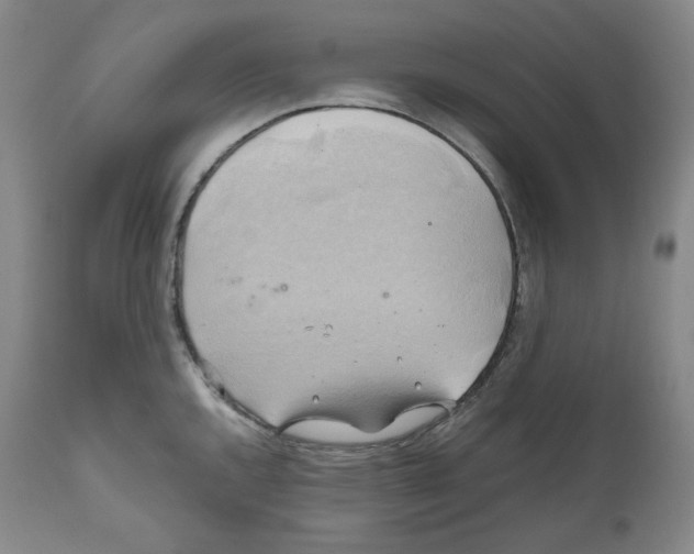 X0000111031144200907231614