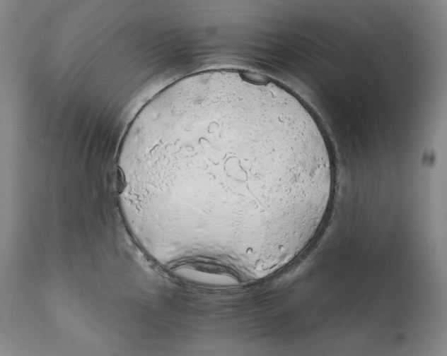 X0000111031145200907231614