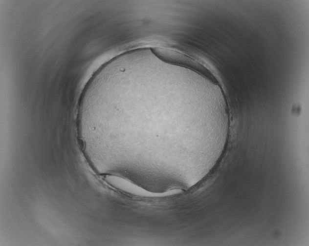 X0000111031146200907231614