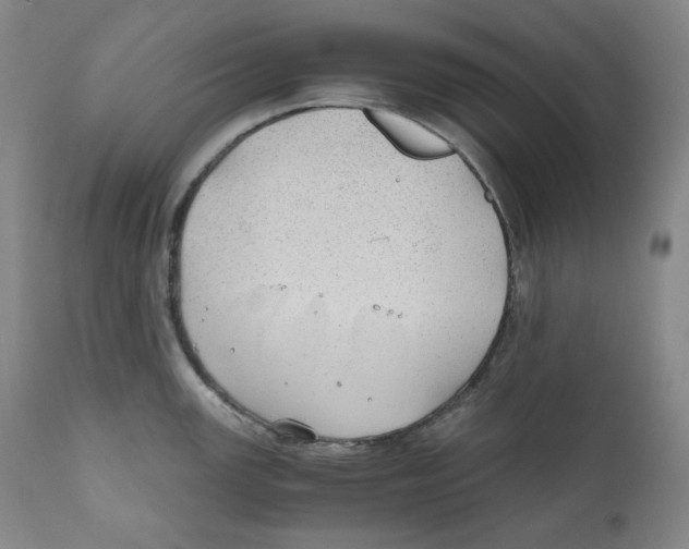 X0000111031147200907231614