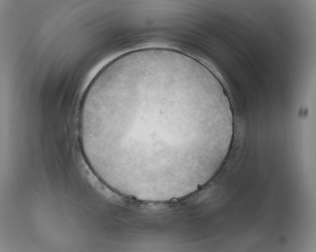 X0000111031148200907231614