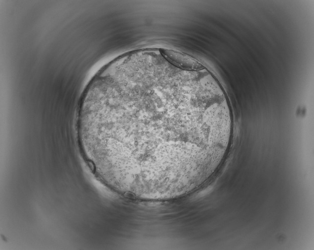 X0000111031149200907231614