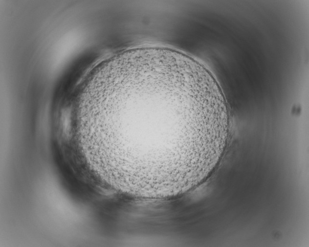 X0000111031150200907231614