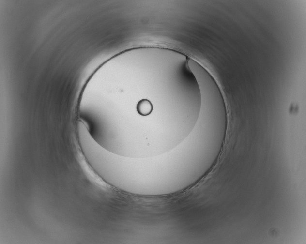 X0000111031152200907231614