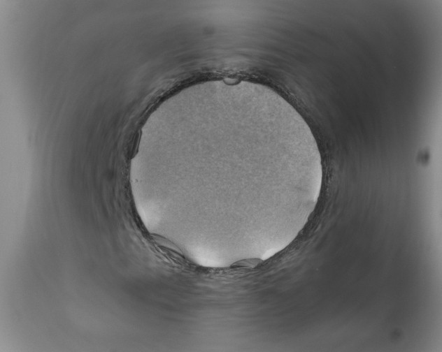 X0000111031153200907231614