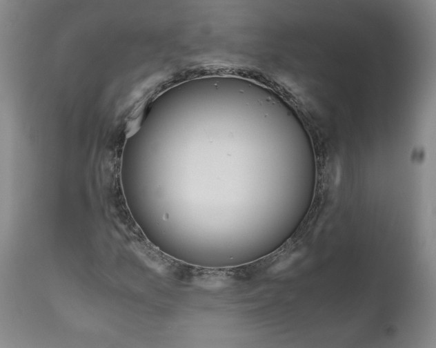 X0000111031157200907231614