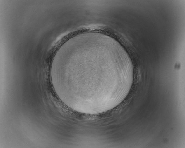 X0000111031158200907231614