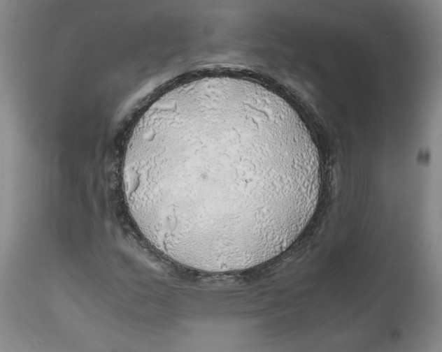 X0000111031159200907231613