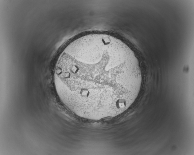 X0000111031160200907231613