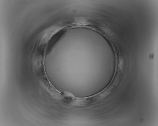 X0000111031161200907231613