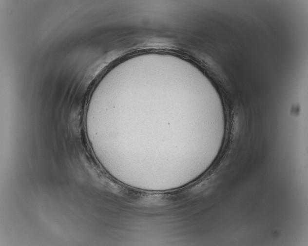 X0000111031162200907231613