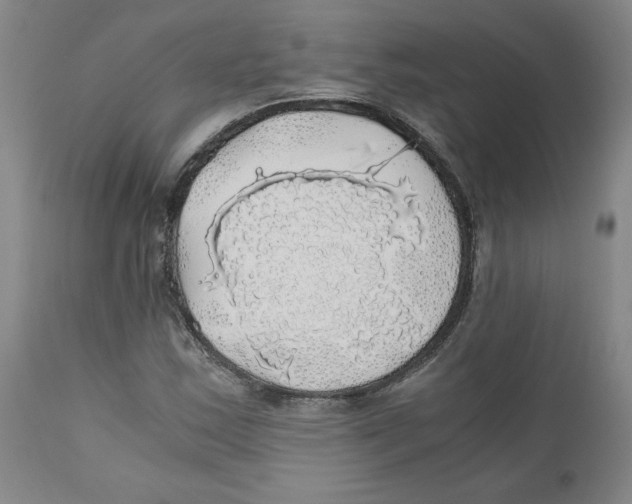 X0000111031163200907231613