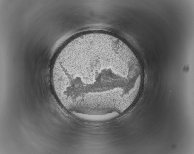 X0000111031164200907231613