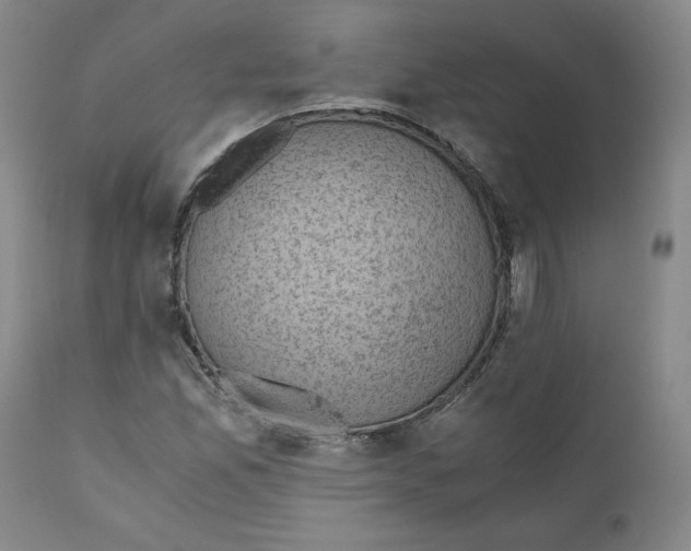 X0000111031165200907231613