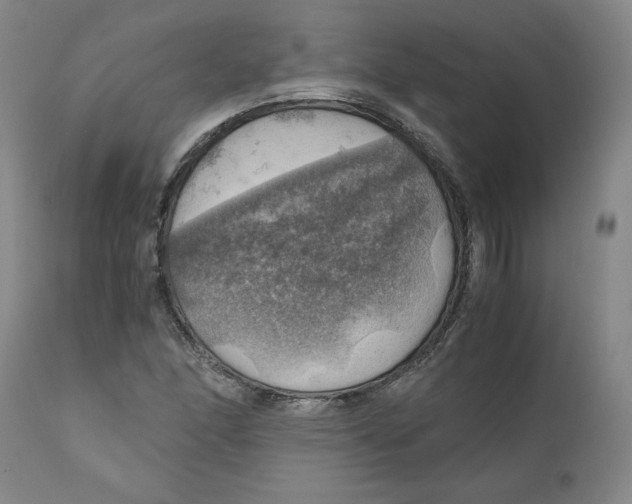 X0000111031166200907231613