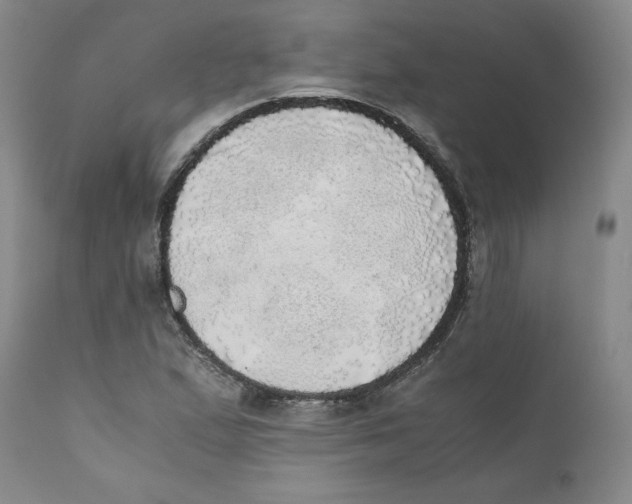 X0000111031167200907231613