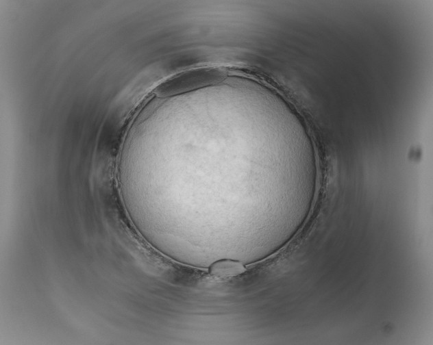 X0000111031169200907231613