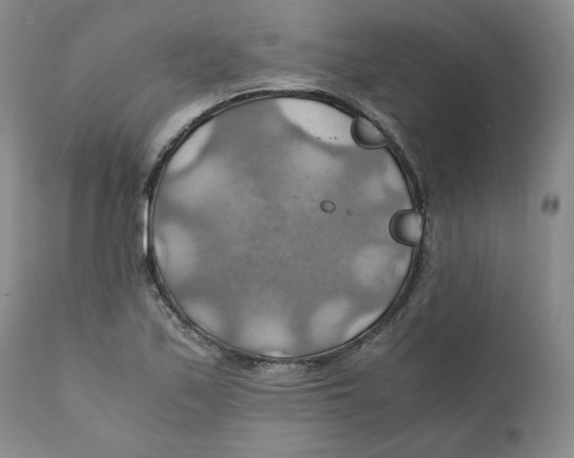 X0000111031171200907231613