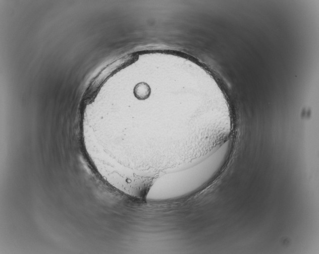 X0000111031173200907231613