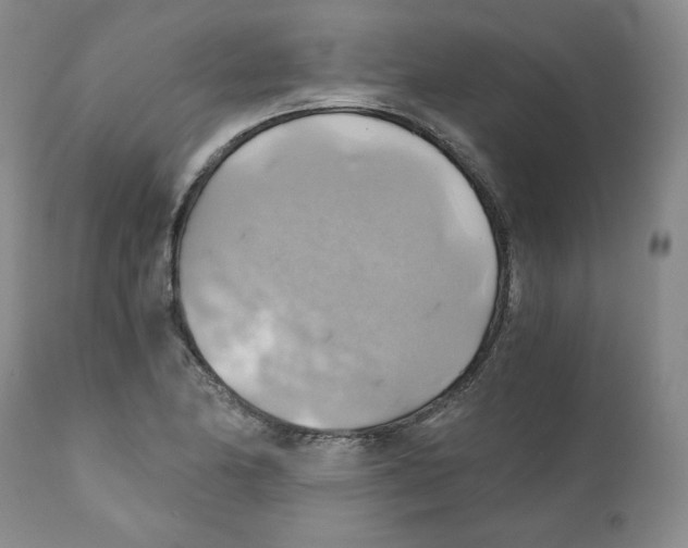 X0000111031174200907231613