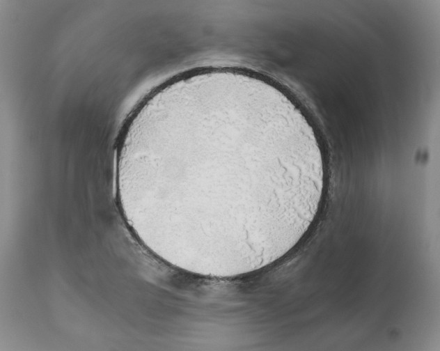 X0000111031175200907231613