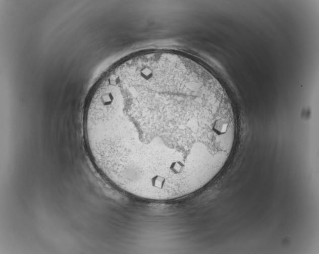 X0000111031176200907231613