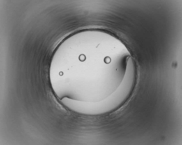 X0000111031177200907231613