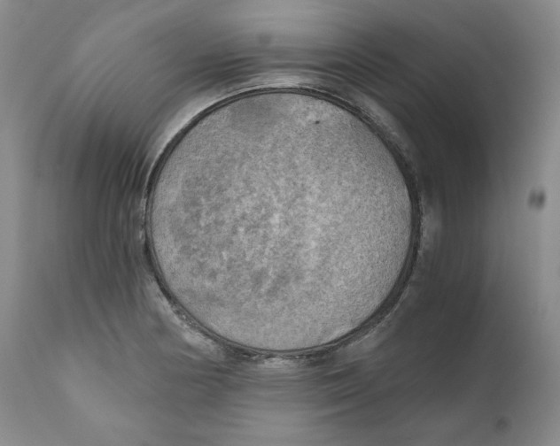 X0000111031178200907231613