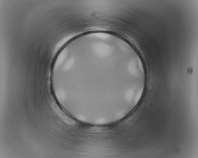 X0000111031179200907231613