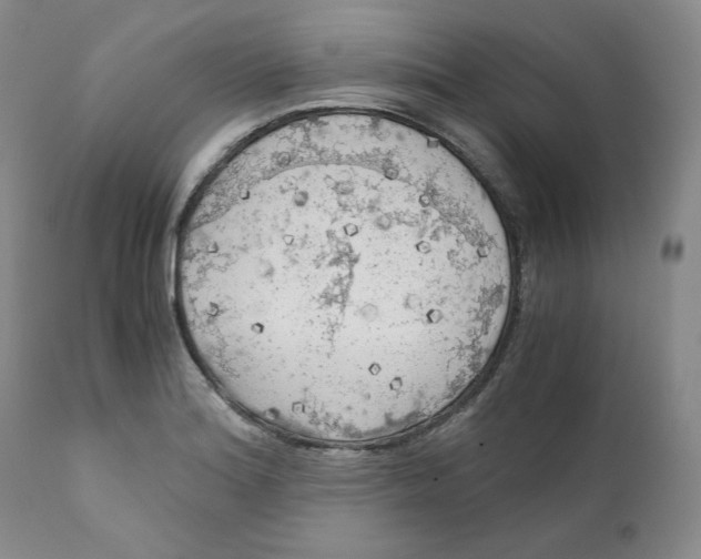 X0000111031180200907231613
