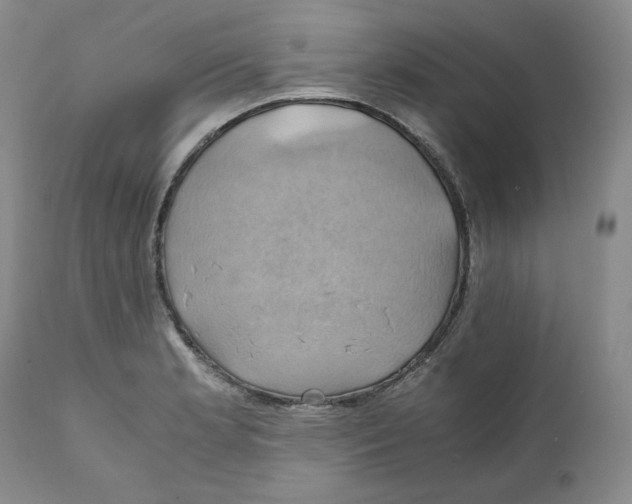 X0000111031181200907231613