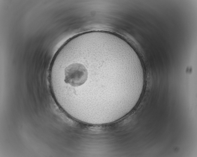 X0000111031182200907231613