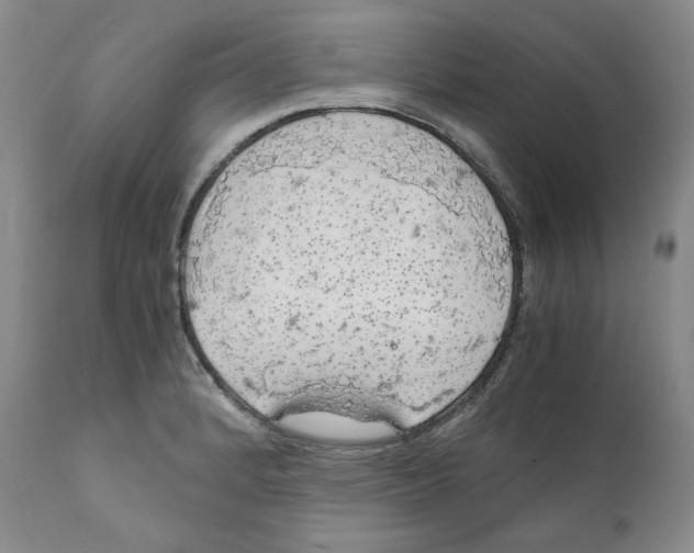 X0000111031184200907231613