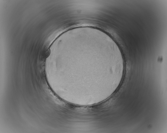 X0000111031185200907231613