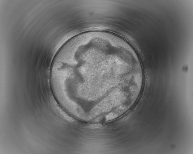 X0000111031186200907231613