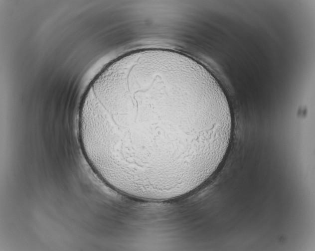 X0000111031188200907231613