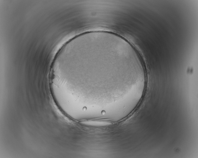 X0000111031189200907231613